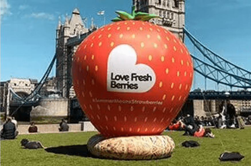 Love Fresh Berries Strawberry Inflatable